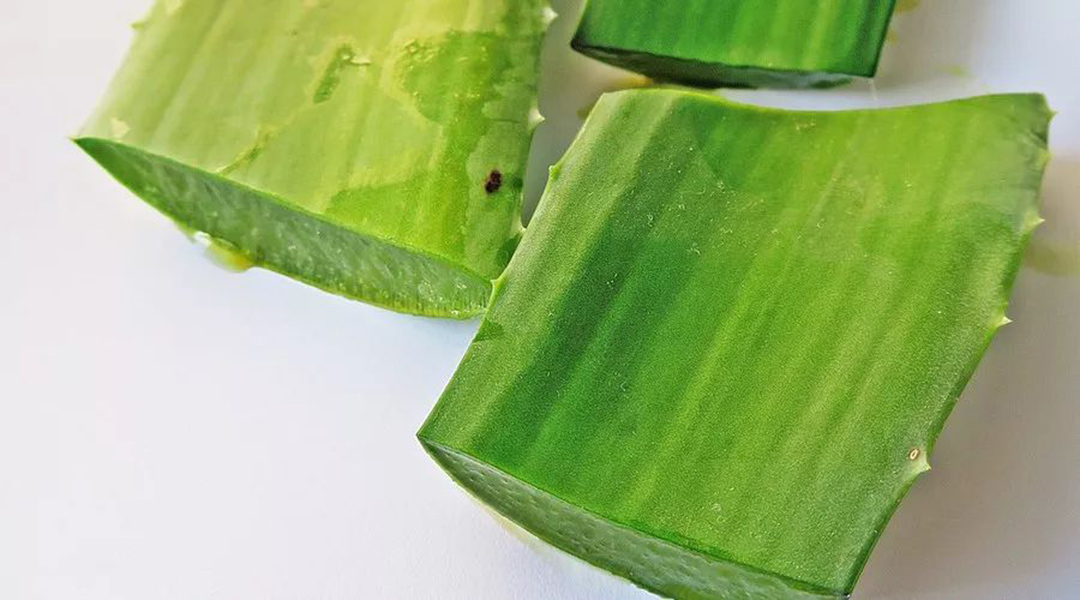 What Is Aloe Fiber?